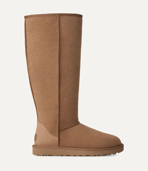 Gheata UGG Classic Ultra Tall