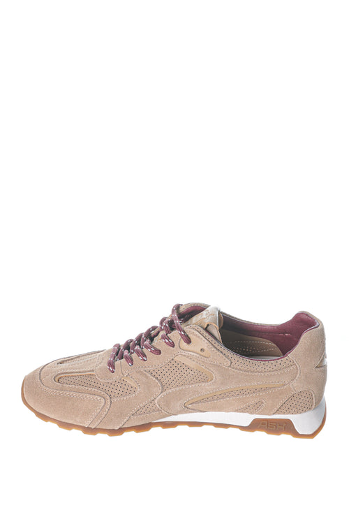 Sneakers ASH Kasar