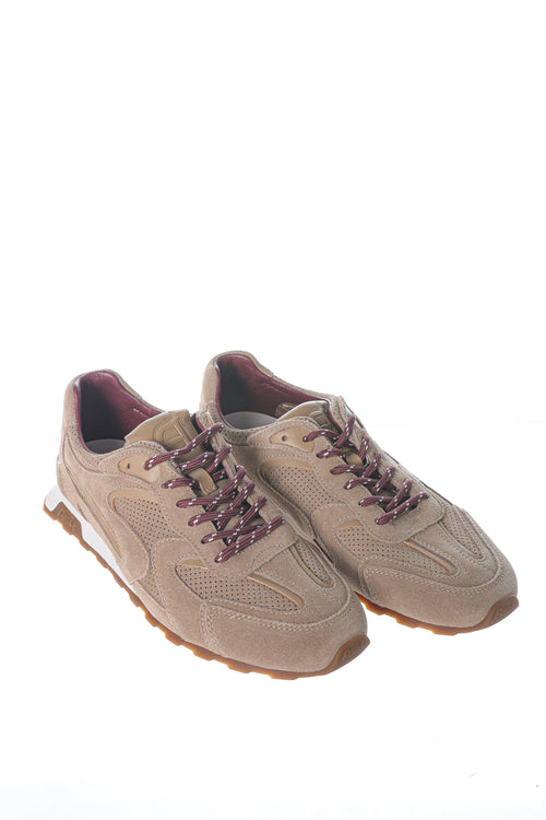 Sneakers ASH Kasar
