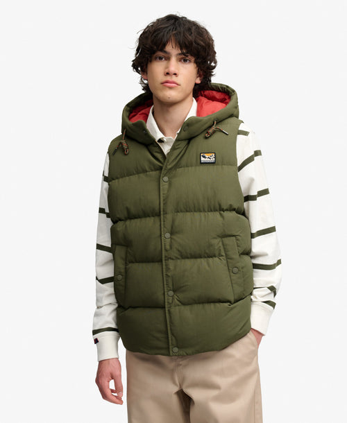 Vesta Superdry Hood Short Everest
