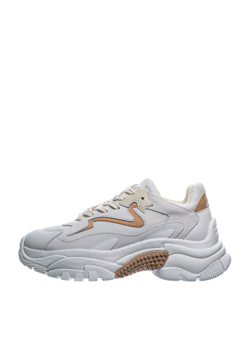 Pantofi sport ASH Addict