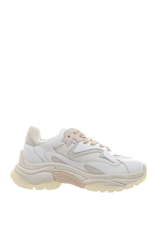Pantofi sport ASH Addict